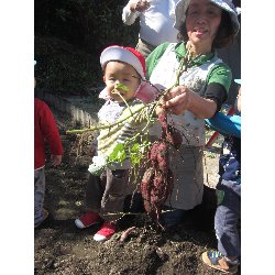 10��28���@������@�����ق�_9