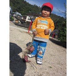 10��28���@������@�����ق�_13