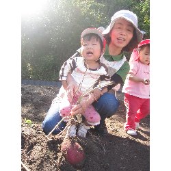 10��28���@������@�����ق�_15