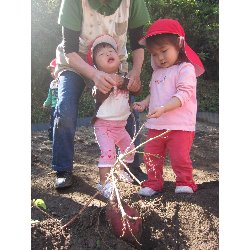 10��28���@������@�����ق�_17