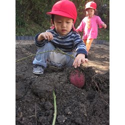 10��28���@������@�����ق�_18