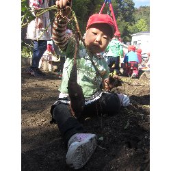 10��28���@������@�����ق�_19