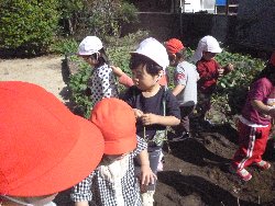 10��28���@����ۂہ@�����ق�_1