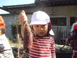 10��28���@����ۂہ@�����ق�_4