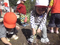 10��28���@����ۂہ@�����ق�_6