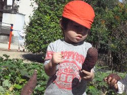 10��28���@����ۂہ@�����ق�_7