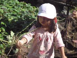 10��28���@����ۂہ@�����ق�_8