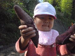 10��28���@����ۂہ@�����ق�_10