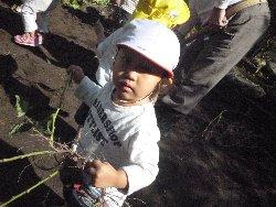 10��28���@����ۂہ@�����ق�_11