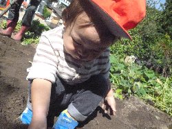 10��28���@����ۂہ@�����ق�_12