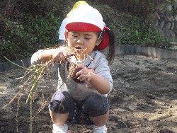 10��28���@����ۂہ@�����ق�_13