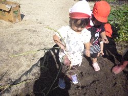 10��28���@����ۂہ@�����ق�_18