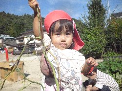 10��28���@����ۂہ@�����ق�_19