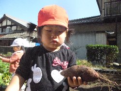 10��28���@����ۂہ@�����ق�_20