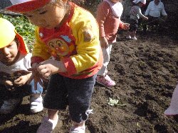 10��28���@����ۂہ@�����ق�_26