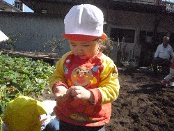 10��28���@����ۂہ@�����ق�_27