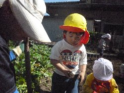 10��28���@����ۂہ@�����ق�_28