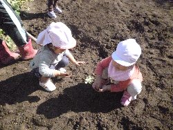 10��28���@����ۂہ@�����ق�_29