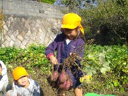 10��29���@�����@�����ق�_2