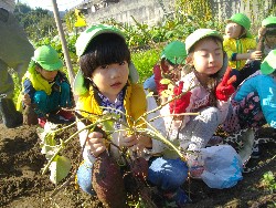 10��29���@�����@�����ق�_11