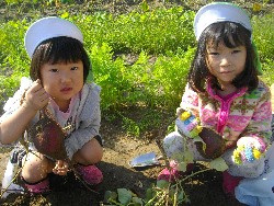 10��29���@�����@�����ق�_23