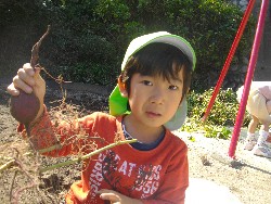 10��29���@�����@�����ق�_31