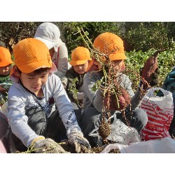 10��29���@�Ђ܂��@�����ق�_3