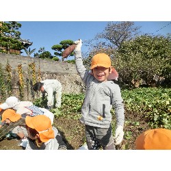 10��29���@�Ђ܂��@�����ق�_4