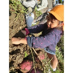 10��29���@�Ђ܂��@�����ق�_5