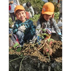 10��29���@�Ђ܂��@�����ق�_7