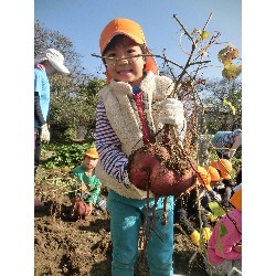 10��29���@�Ђ܂��@�����ق�_8