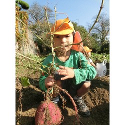 10��29���@�Ђ܂��@�����ق�_9