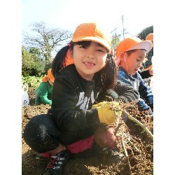 10��29���@�Ђ܂��@�����ق�_10