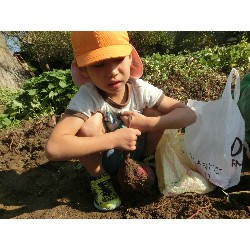 10��29���@�Ђ܂��@�����ق�_11