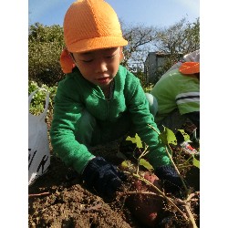 10��29���@�Ђ܂��@�����ق�_12