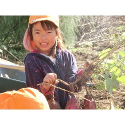 10��29���@�Ђ܂��@�����ق�_13