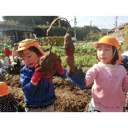 10��29���@�Ђ܂��@�����ق�_14