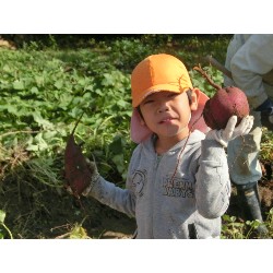 10��29���@�Ђ܂��@�����ق�_15