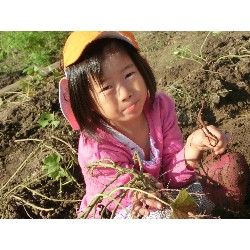 10��29���@�Ђ܂��@�����ق�_16