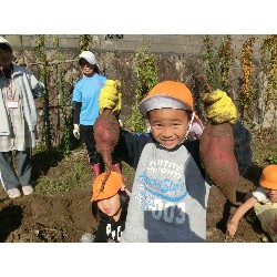 10��29���@�Ђ܂��@�����ق�_18