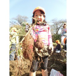 10��29���@�Ђ܂��@�����ق�_22