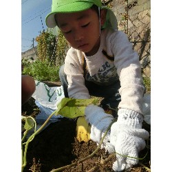 10��29���@�Ђ܂��@�����ق�_23