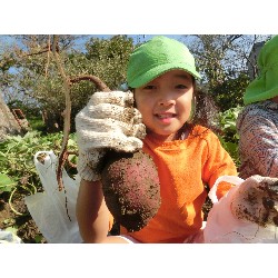 10��29���@�Ђ܂��@�����ق�_24