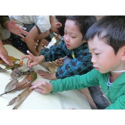 10��29���@�Ђ܂��@����_2