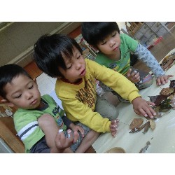 10��29���@�Ђ܂��@����_5