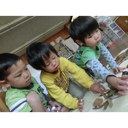 10��29���@�Ђ܂��@����_6