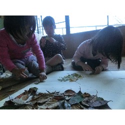 10��29���@�Ђ܂��@����_11