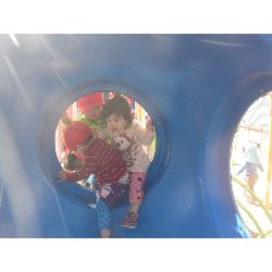 10��29���@������@�����݂̐X_19