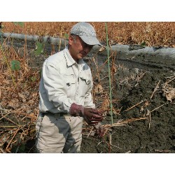 10��30���@�炢����E�ς񂾁i�Ёj�@�@�c���w_2