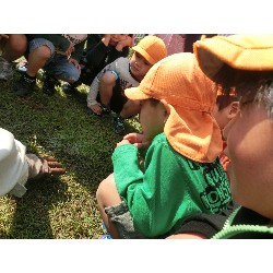 10��30���@�炢����E�ς񂾁i�Ёj�@�@�c���w_14